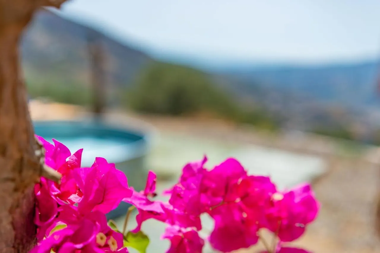 Casa Nathium. Villa Borge Spain